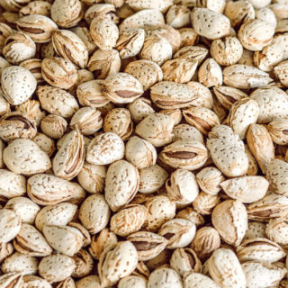Almond (Fish) - Image 2