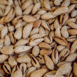 Almond (Butterfly) - Image 2