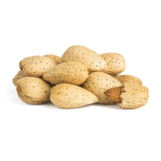 Almond (Fish) - Image 1