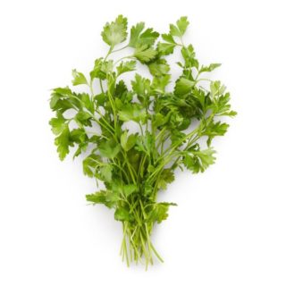 Coriander - Image 1