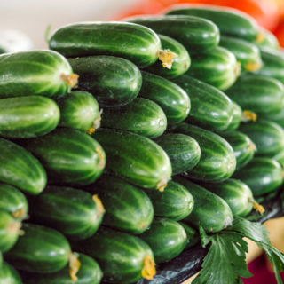 Cucumber Orzu - Image 3