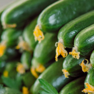 Cucumber Orzu - Image 4