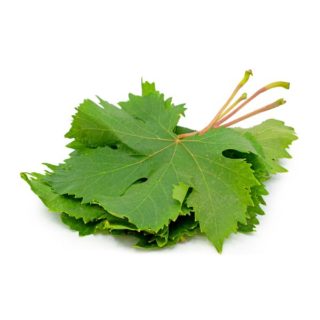 Grape (Leaves) - Image 1