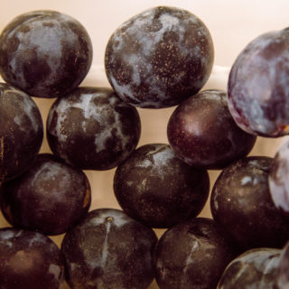 Black Plum - Image 2