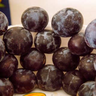 Black Plum - Image 3