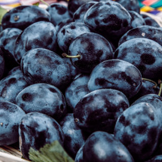 Organic Plum - Image 2