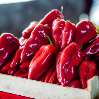 Pepper (Red) - Image 2