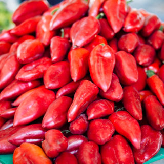 Pepper (Red) - Image 4