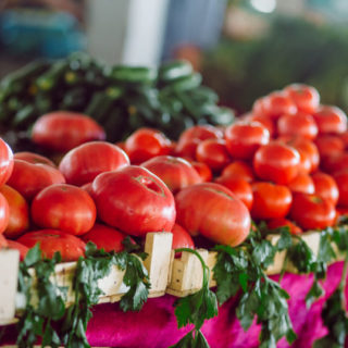 Tomato (Red) - Image 2