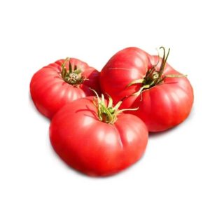 Tomato (Yusupov) - Image 1