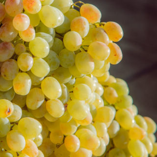 Sweet Grape Husayni - Image 4
