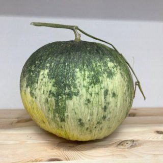 Melon (Old Lady) - Image 2