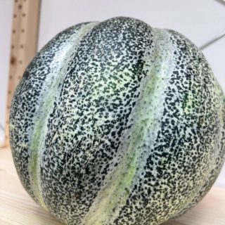 Melon (Ko’kalapish) - Image 2