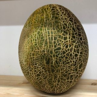 Melon (Qirqma) - Image 2