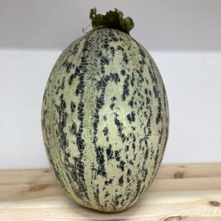 Melon (Mirza Cho'l) - Image 1