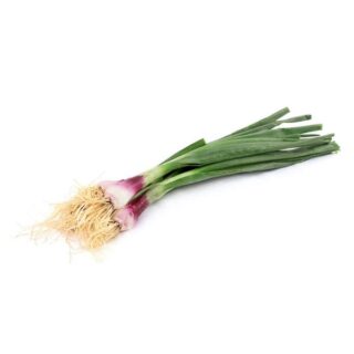 Spring Young Garlic - Image 1