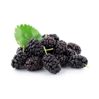 Organic Black Mulberry - Image 1