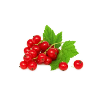 Organic Uzbek Red Currant - Image 1