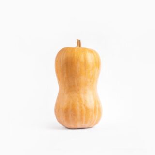 Pumpkin - Image 1
