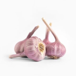 Garlic - Image 1