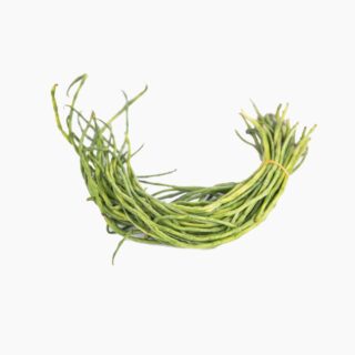 Green Beans Long "Jandu" - Image 1