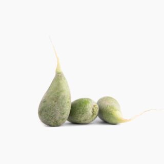 Green Radish - Image 1