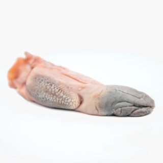 Lamb tongue - Image 1