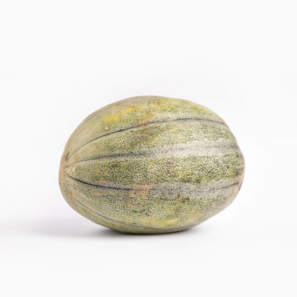 melon bosvoldi