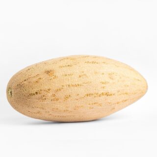 Sweet Melon Torpedo - Image 1