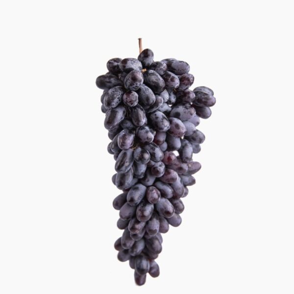natural balck lady finger