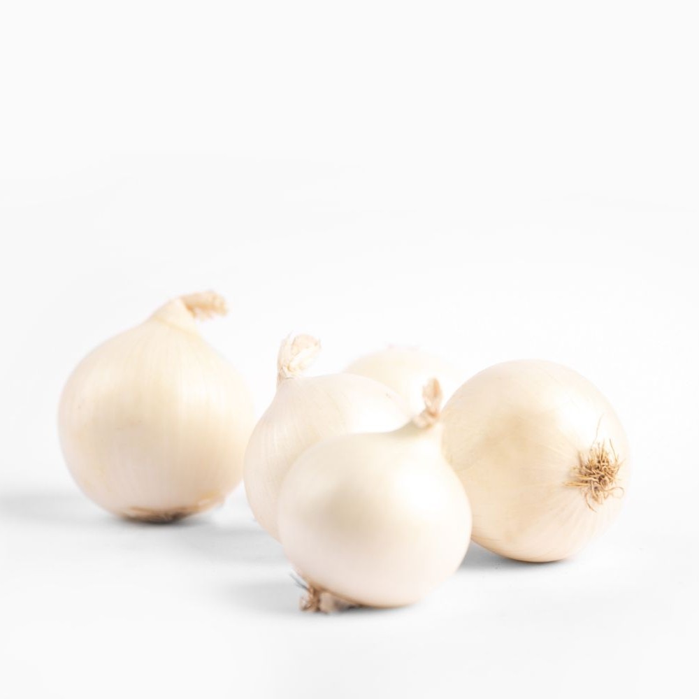 onion white