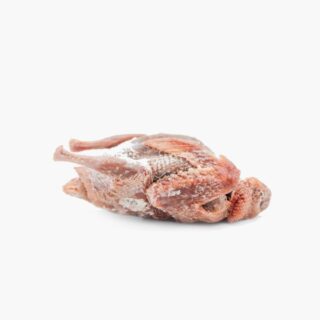 Pigeon Meat - Image 1