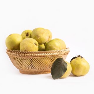 Velvety Quince - Image 1