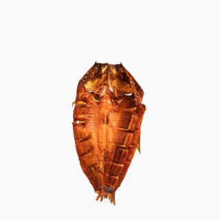 Smoked Fish "Tolstolob" - Image 1