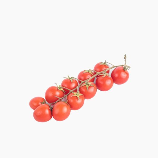 tomato cherry
