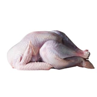 Turkey Meat - Image 1