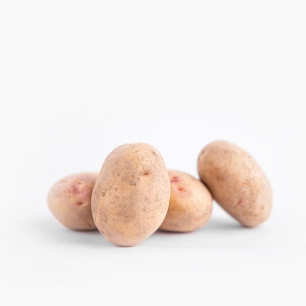white potato pekas