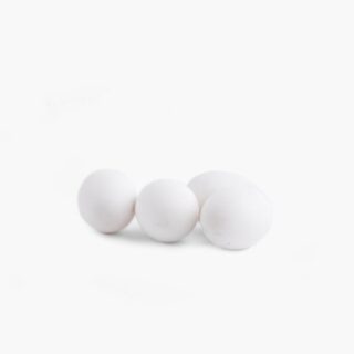Duck egg - Image 1
