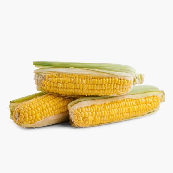 corn