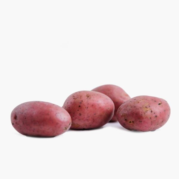 potato zav zara