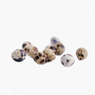 Quail Eggs - Image 1