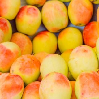 Natural Apple "Cup" - Image 1