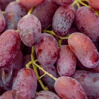 Natural Grape "Cosmos" - Image 1