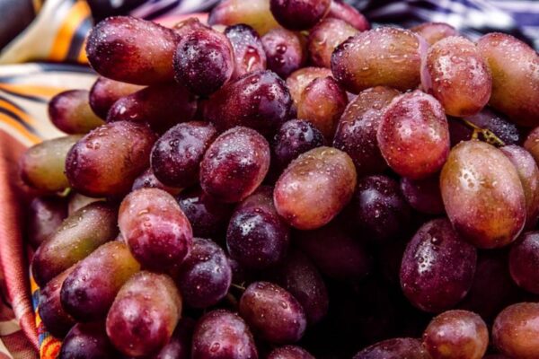 grape 2