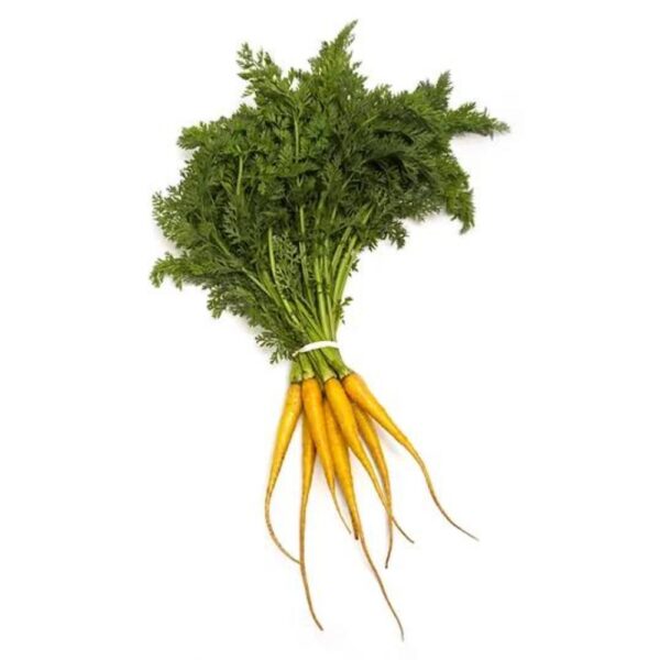 baby carrot (2)