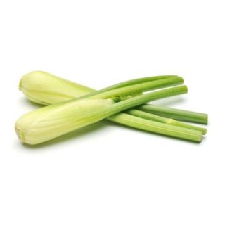 Baby Fennel - Image 1