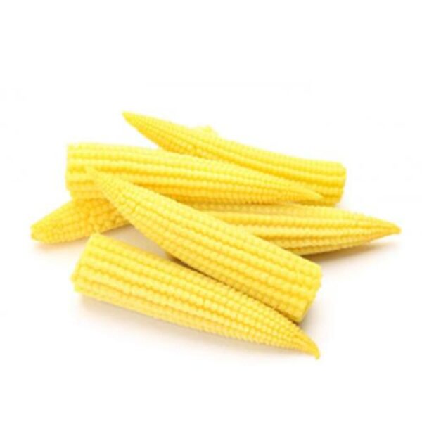 corn 1