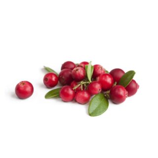 Cranberries - Image 1