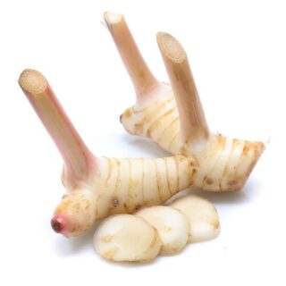 Galanga root - Image 1