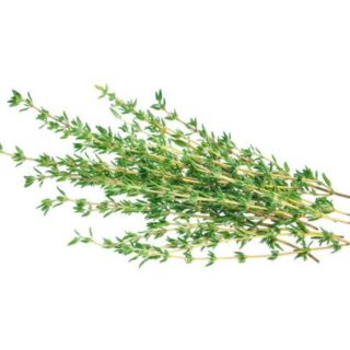 Thyme - Image 1